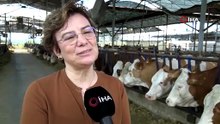 Kadın çiftçiden ilham veren başarı: İflasın eşiğinden Cumhurbaşkanlığı Ödülüne uzandı