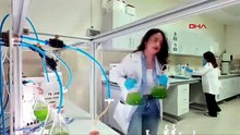Türk bilim insanlarının fikri gerçek oldu... Türk bilim insanlarından devrim niteliğinde buluş!