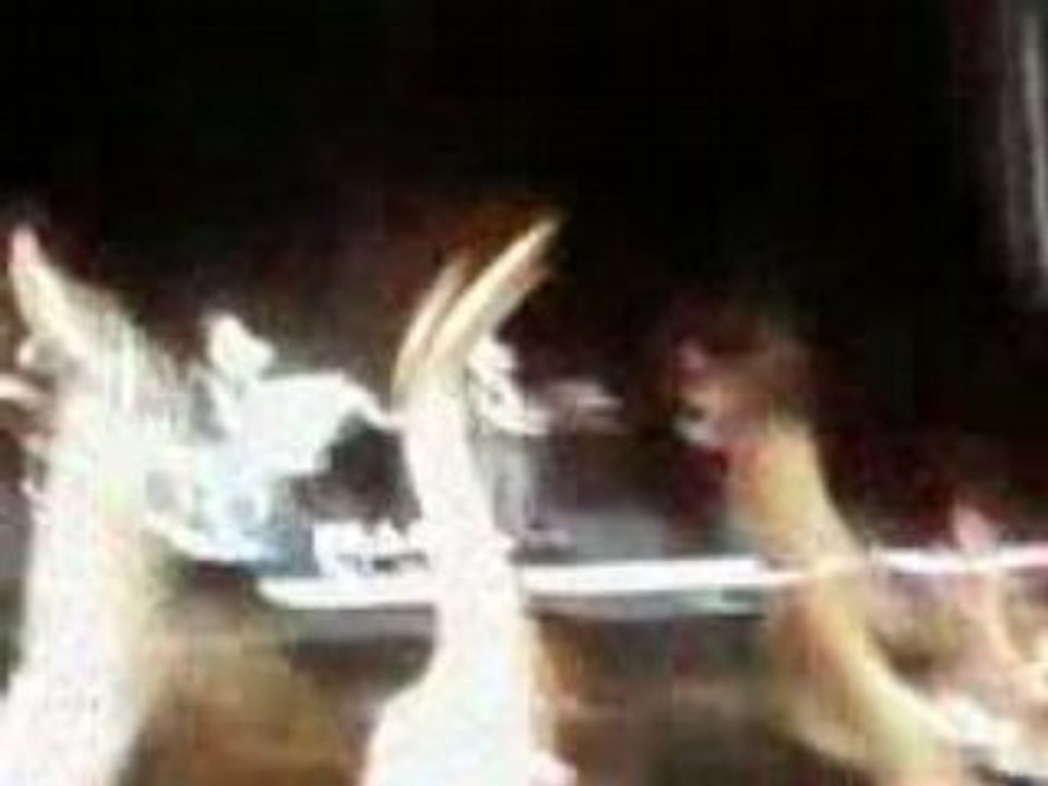 I just wanna be free : C'EST LA VIE