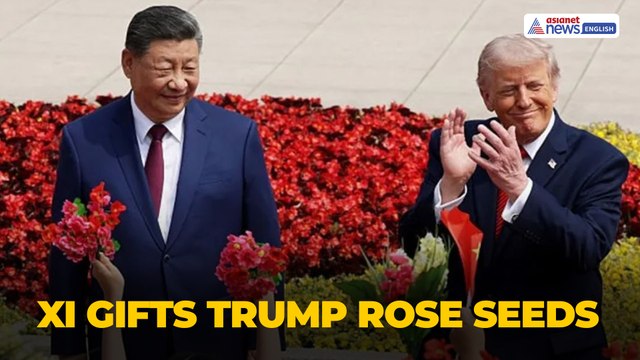 Xi Jinping Hosts Trump at Zhongnanhai | Garden Tour & Rose Seeds Gift
