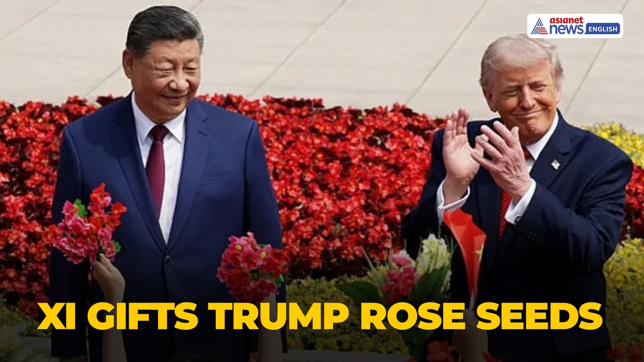 Xi Jinping Hosts Trump at Zhongnanhai | Garden Tour & Rose Seeds Gift