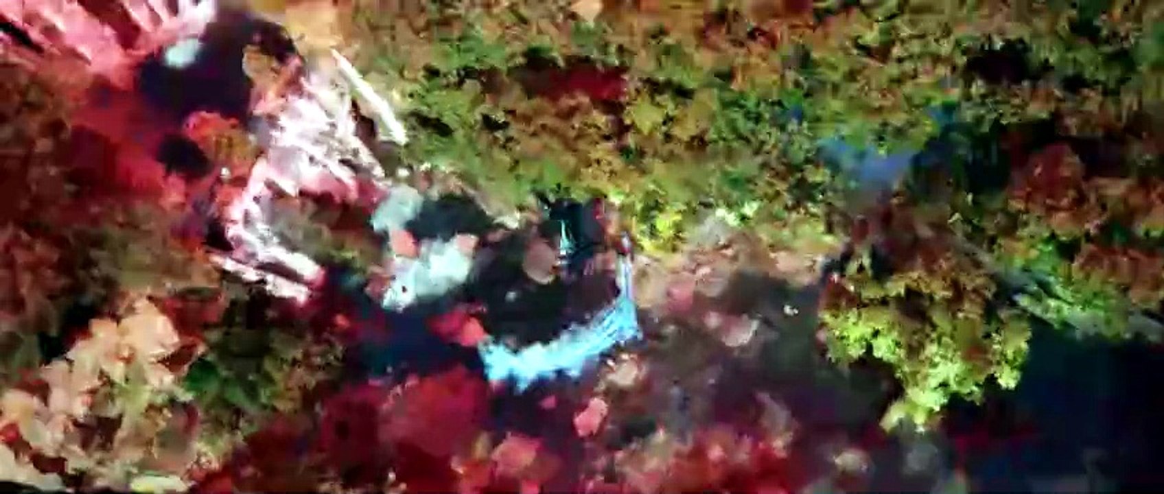 永生 第56集