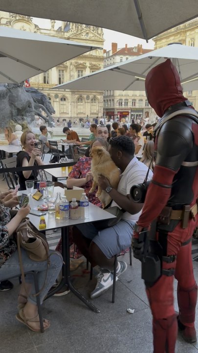 Pauvre toutou mdrr il doit rien comprendre !!