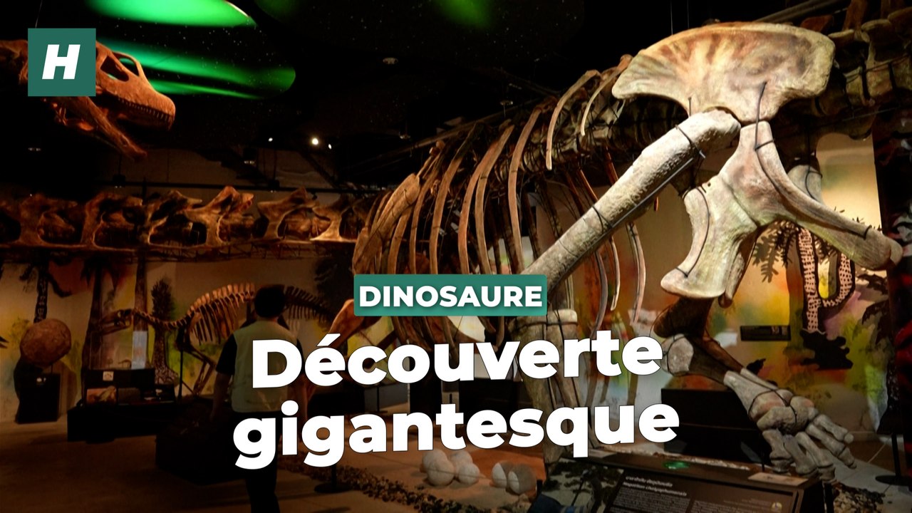 Le Nagatitan, un dinosaure gigantesque découvert en Thaïlande, porte bien son nom