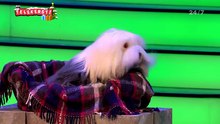 Samson & Gert kerstshow 2017 Burgemeester pegel en Yeti