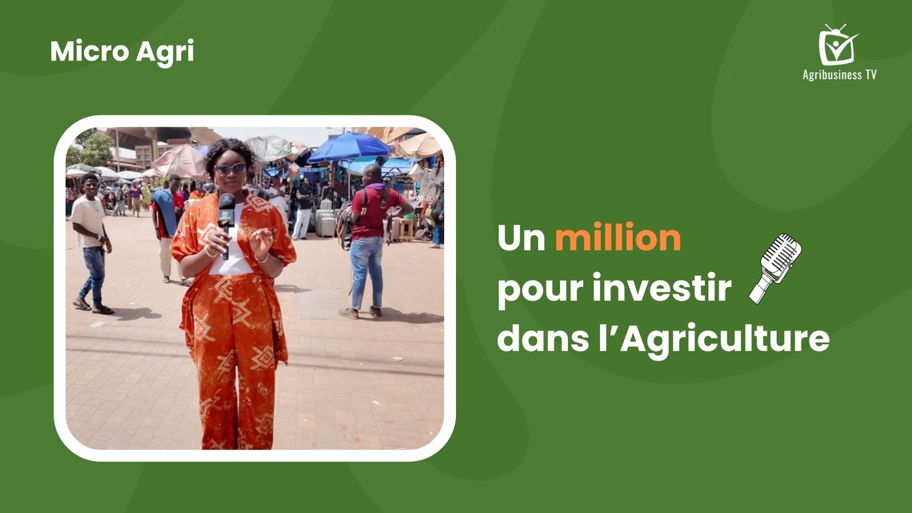 Micro Agri : Un million pour investir dans l’Agriculture
