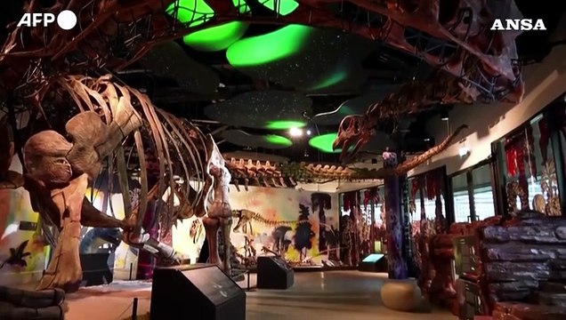 Scoperto in Thailandia il piu' grande dinosauro del sud-est asiatico