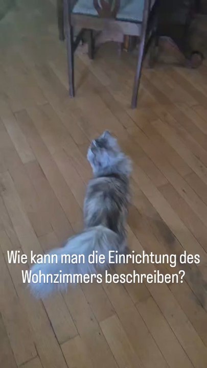 Deutsch A2/B1: Einrichtung & altmodisch – Wie beschreibt man ein Wohnzimmer? | Allemand A2/B1 : L'aménagement & vieux jeu – Comment décrire un salon ?