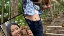 Funny Animal Moments: Friendly Monkeys, Capybara Sun Wukong & Happy Dog! 🐒🐾