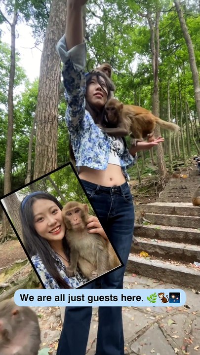 Funny Animal Moments: Friendly Monkeys, Capybara Sun Wukong & Happy Dog! 🐒🐾