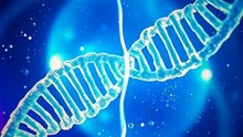 Plants Hacked Evolution to Survive the Asteroid