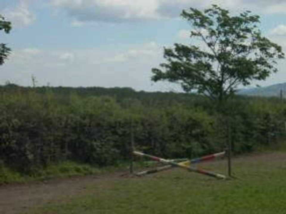 Prmeier saut 2