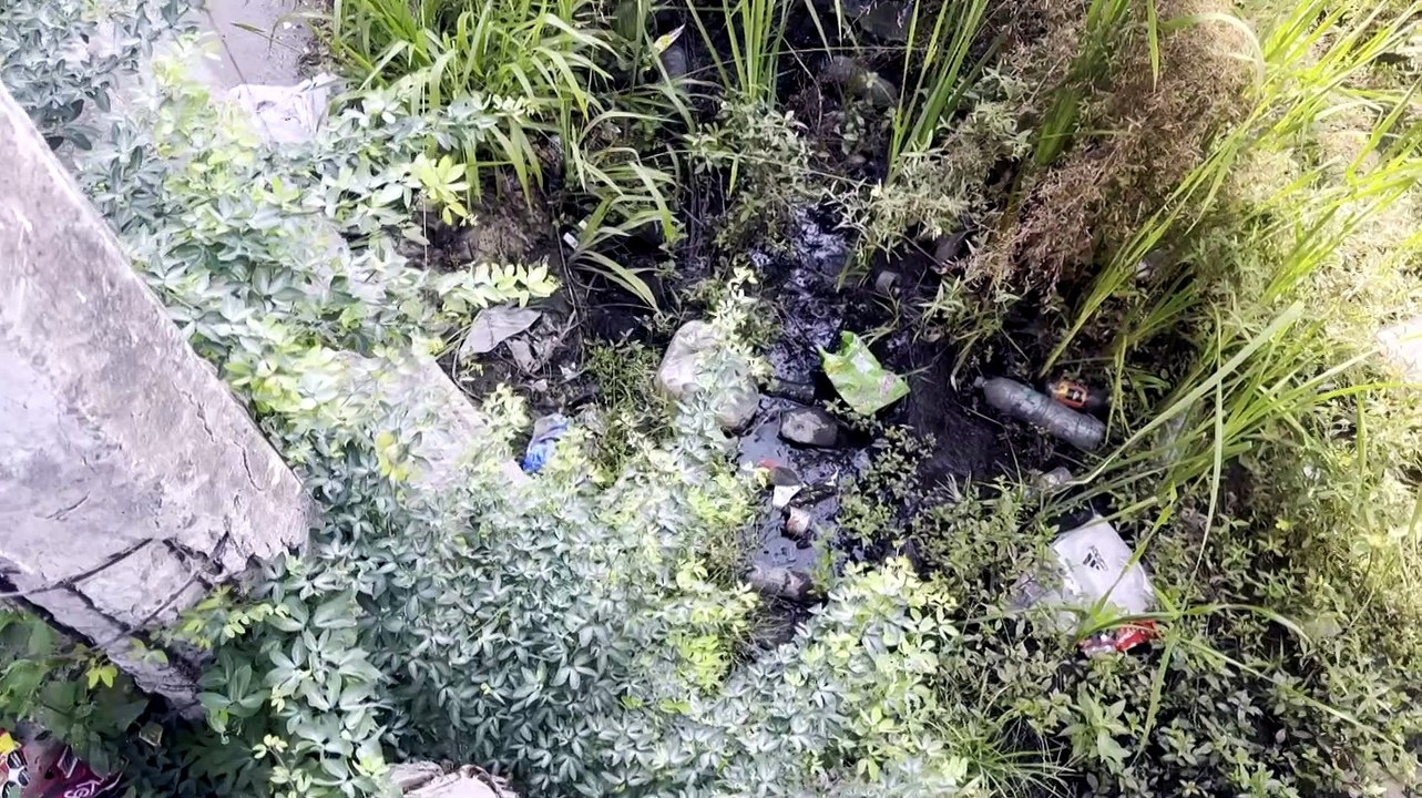 Denuncian contaminación en canal de playa Camarones | CPS Noticias Puerto Vallarta