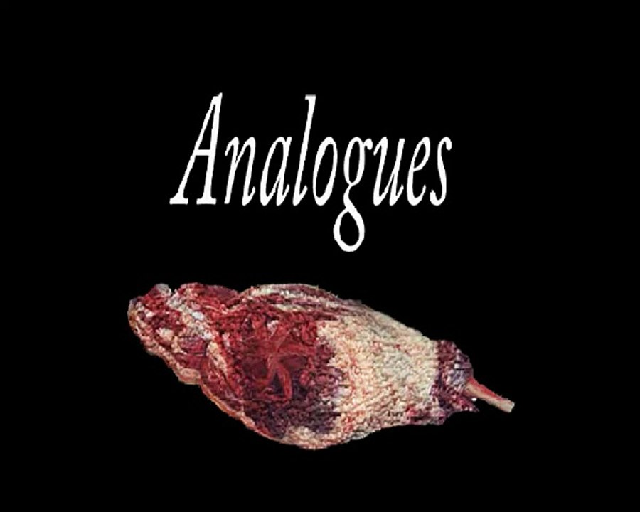 Analogues (2005)