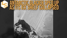 Antarctic Glacier Sped-Up - As Its Ice Shelf Caved-In
