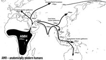 Is The Out Of Africa Theory Still Valid