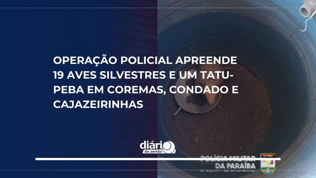 Operação policial apreende 19 aves silvestres e um tatu-peba em Coremas, Condado e Cajazeirinhas
