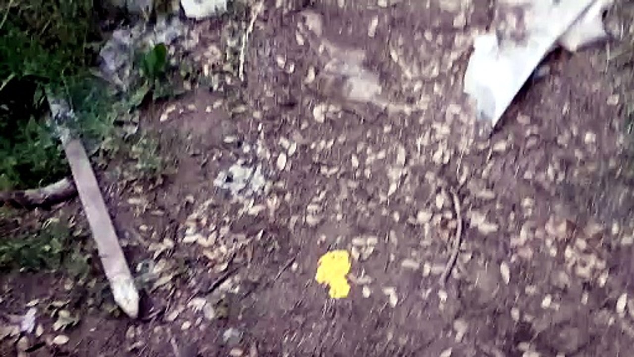 Actually dragon shot found video proff d1 JR200