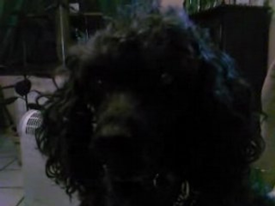 Mon bébé 2