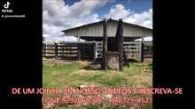 FAZENDA COM 2400 ALQUEIRÃO CMC