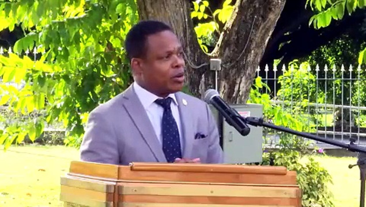BROWNE: RAISES CONCERNS OVER GOV'T ACTIONS