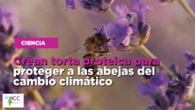Crean torta proteica para proteger a las abejas del cambio climático