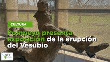 Pompeya presenta exposición de la erupción del Vesubio