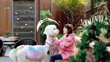Cute.Bad.Guy.E04  English Sub