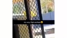 Bird Understands Him | Meme Shorts Gone WILD! 😂🔥 Instant Laughs