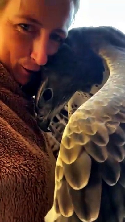 Love Big Birds 🔥