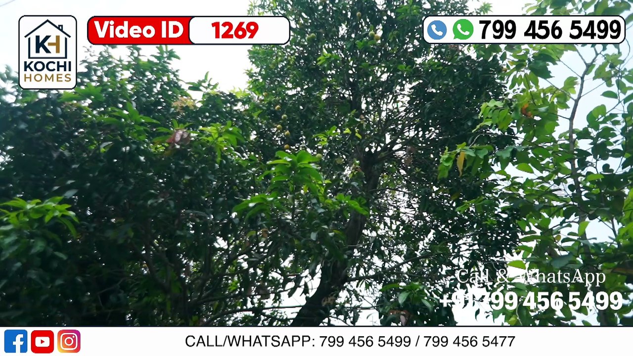 1269- ഇടപ്പള്ളിയിൽ ഉപയോഗയോഗ്യമായ പഴയ വീടും സ്ഥലവും വിൽപ്പനയ്ക്ക് | house for sale in Edappally