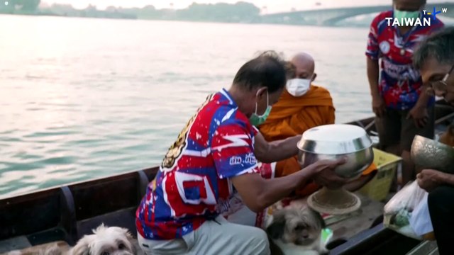 Thai Temple Dogs Join Monk on His Daily Alms Collection