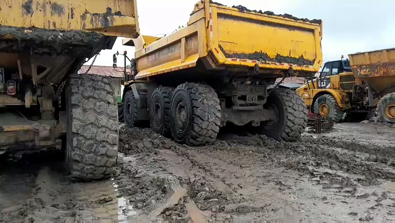 Heavy Equipment Showcase : Mining Dump Trucks in the Muddy Fields of Kalimantan