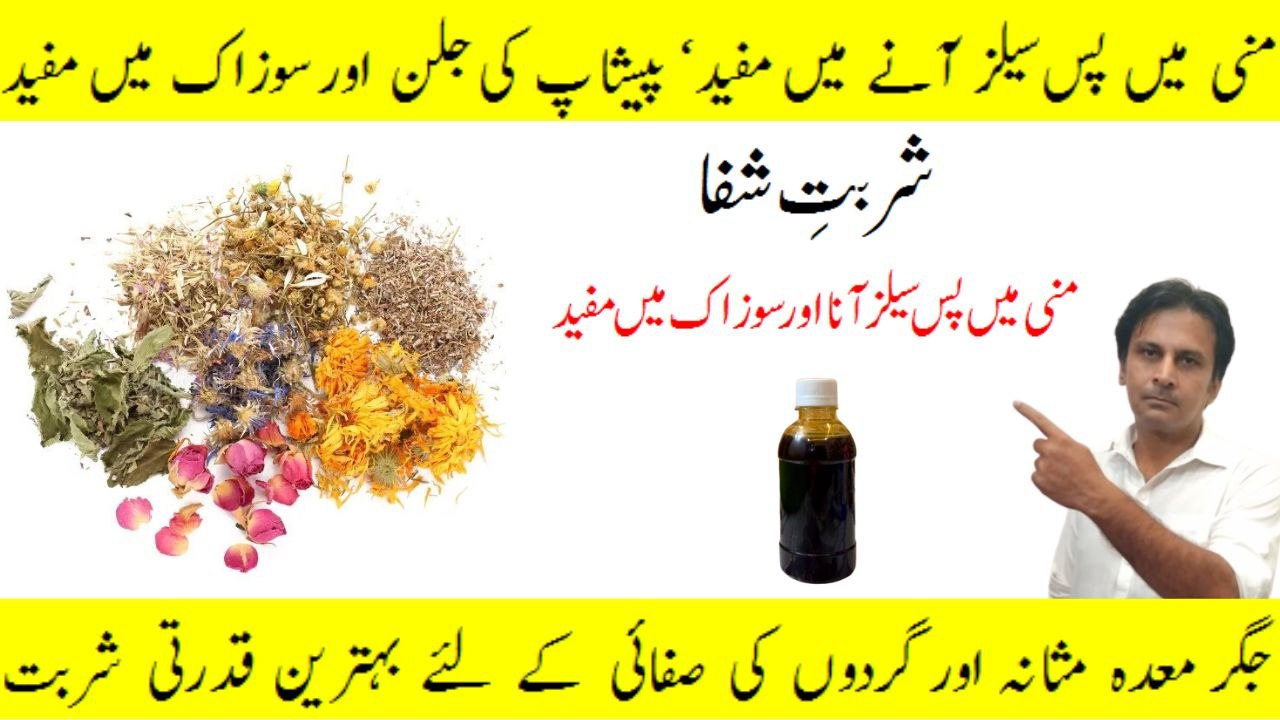 **Sharbat-e-Shifa Ke Fayde | Peshab Ki Jalan, Urine Infection, Gurdon Aur Masane Ki Safai Ka Best Herbal Sharbat**