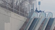 Boy Chooses Escalator Handrails Over Steps For A Risky Ride
