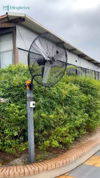 Mingletec 26 30 inch BLDC industrial wall fan #mingletec #BLDC #industrialfan #wallfan #outdoor