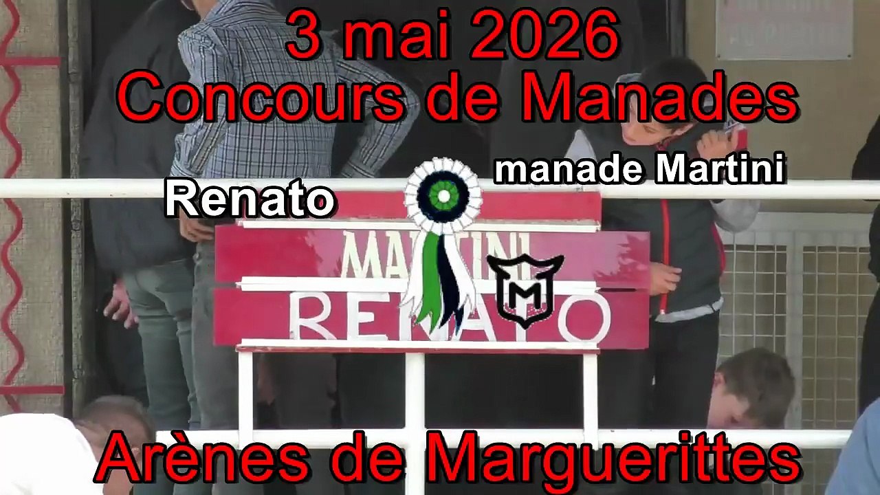 2026 05 03 Renato