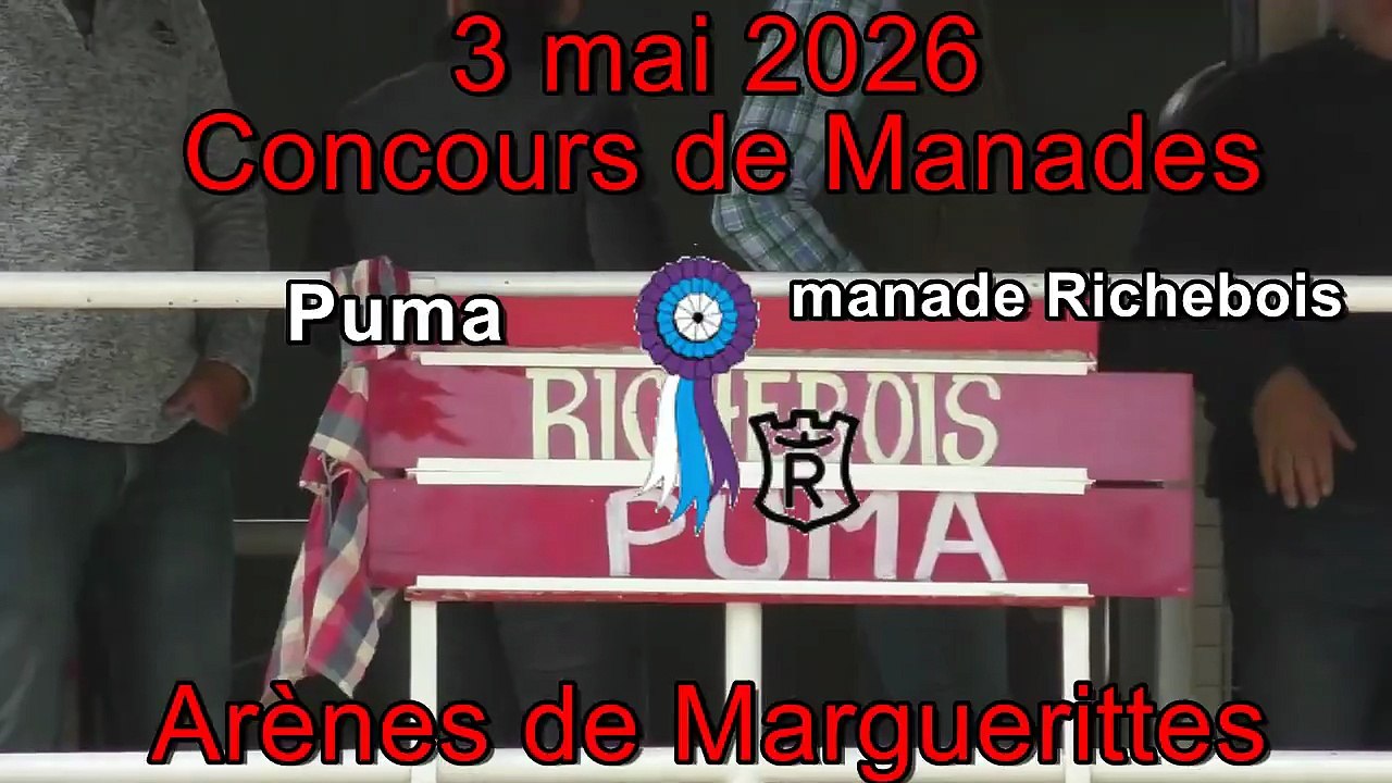 2026 05 03 Puma