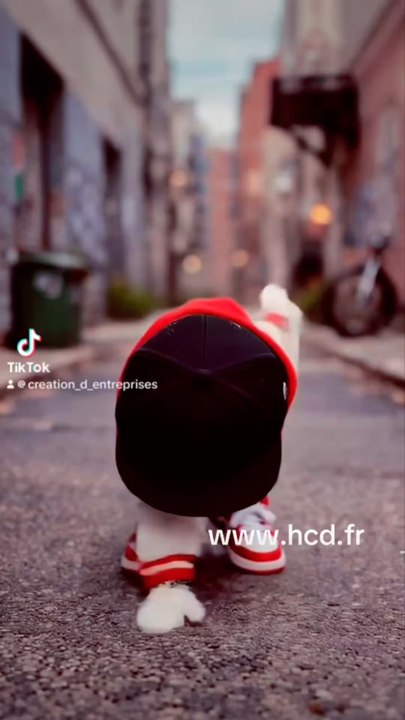 Si tu veux créer ton entreprise, je répond à tes questions