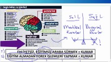 Forex’te Aşırı Risk Alma Nedeni: Dopamin Bağımlılığı ve Çözümleri