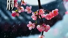 王府继兄宠我如宝，亲哥却后悔了（75集）黄宥天＆孙露鹭 2-1