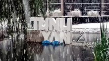 Nieve