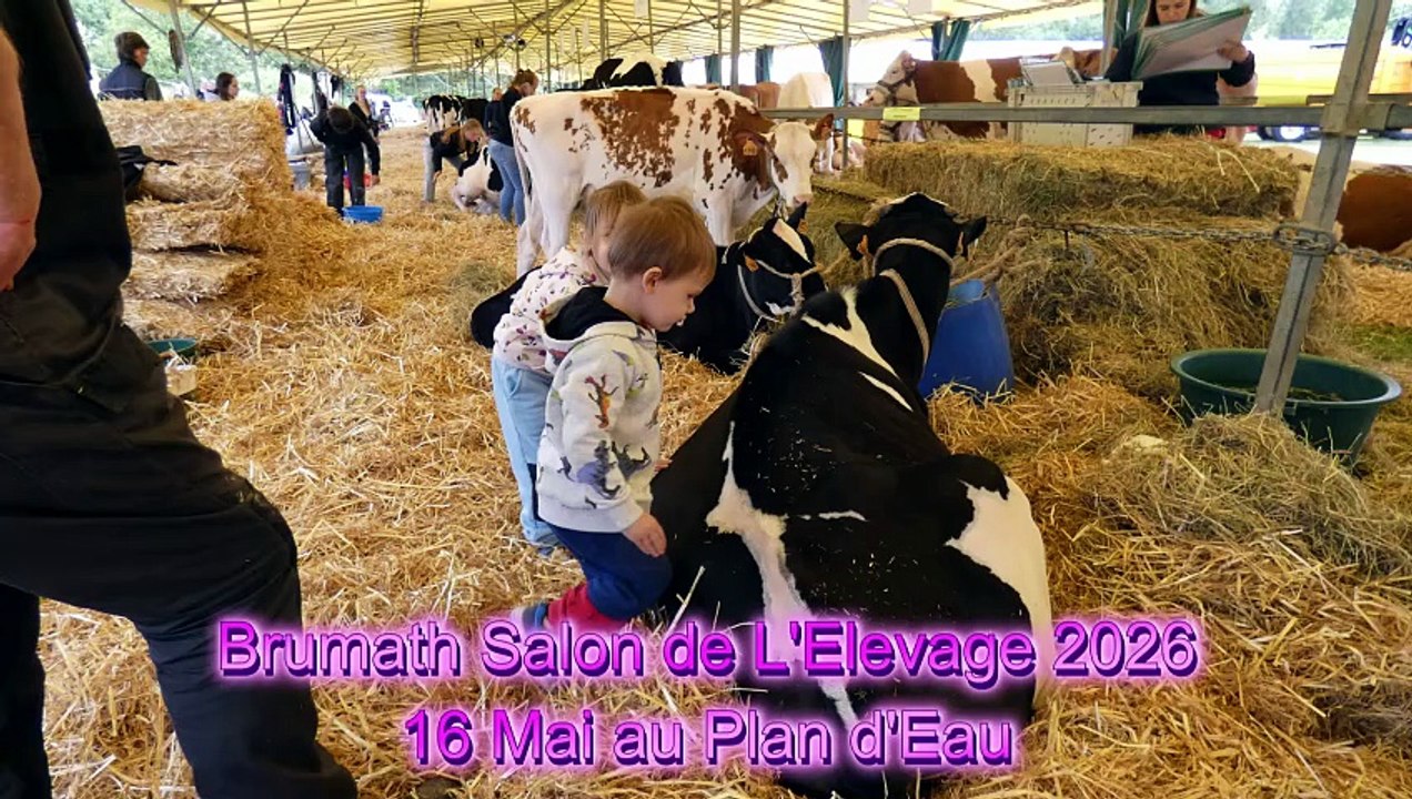 Brumath Salon de L'Elevage 2026 Samedi le 16 Mai