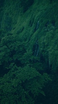PANDORA : Les plus belles cascades de la Réunion | Voyage Cinématique 4K