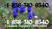 【{CENT}】™[*List of CoinbaseⓃⓃ CUSTOMER© WaLlEt© Care℗ (Toll Free Number Support) Numbers