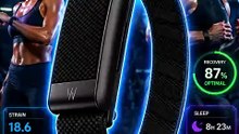 WHOOP 5.0 Activity Tracker | AI Fitness & Sleep Coach Wearable