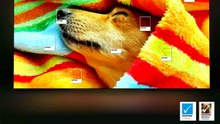 Samsung S85F 4K OLED Smart TV Review