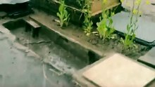 🐱☔ Vecinos y voluntarios en Japón instalan pequeños refugios para gatos callejeros con el fin de protegerlos del frío y la lluvia, además de brindarles alimento y cuidados. La iniciativa se volvió viral en redes.