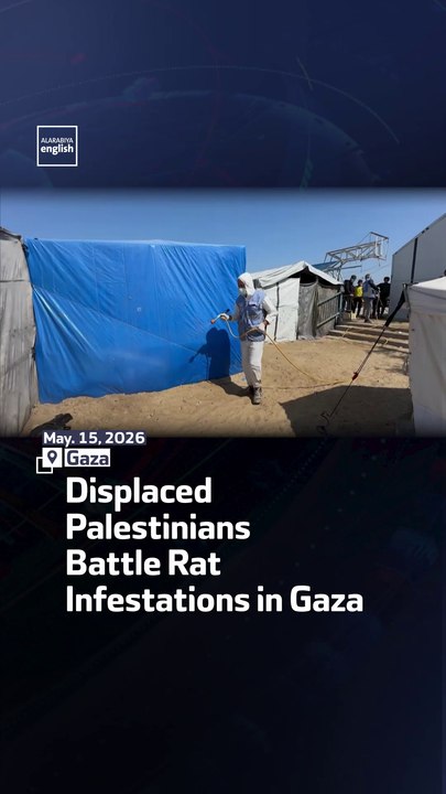 Displaced Palestinians Battle Rat Infestations in Gaza