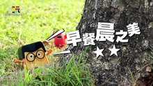 Play_20260516_cut